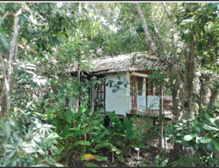 Bahia Das Jangadas. Serra Grande (Urucuca, Bahia) Exterior foto